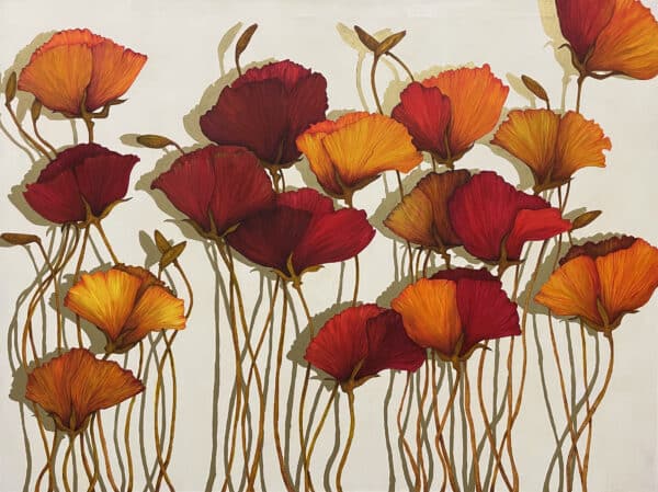 Botanical painting - Poppy by Beverley Cox